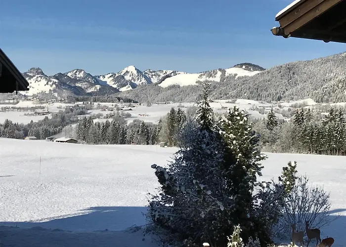 Winklblick Appartement *